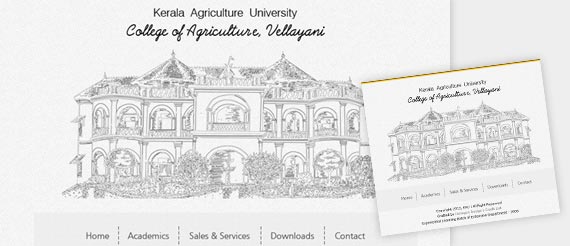 Website